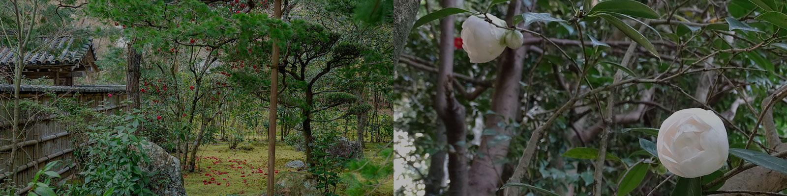 参拝情報・アクセス