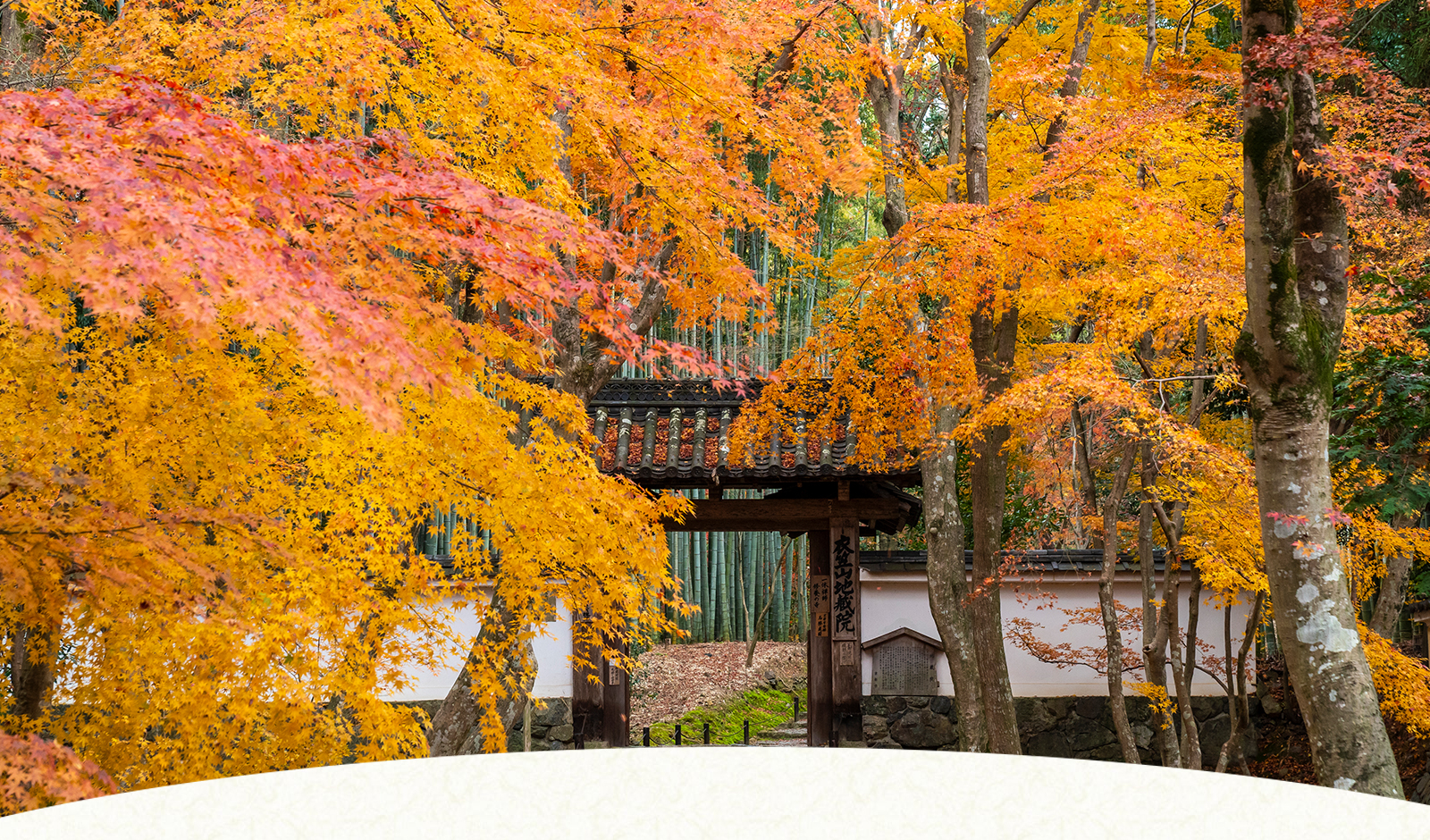 秋の紅葉に染まる寺院