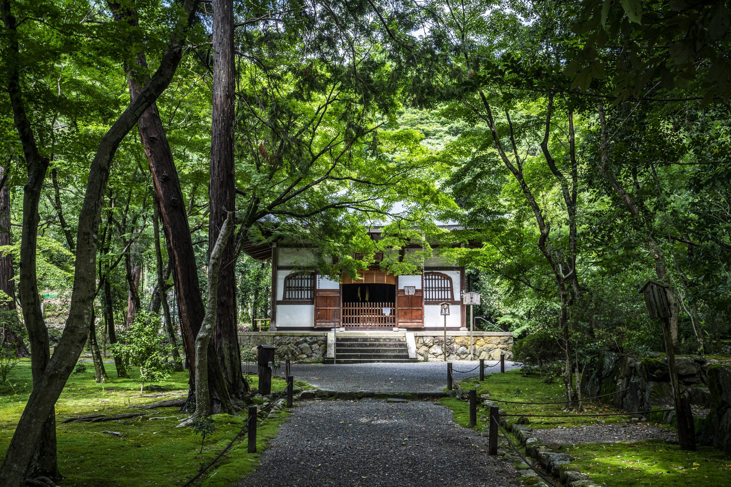 竹寺倶楽部会員様へ